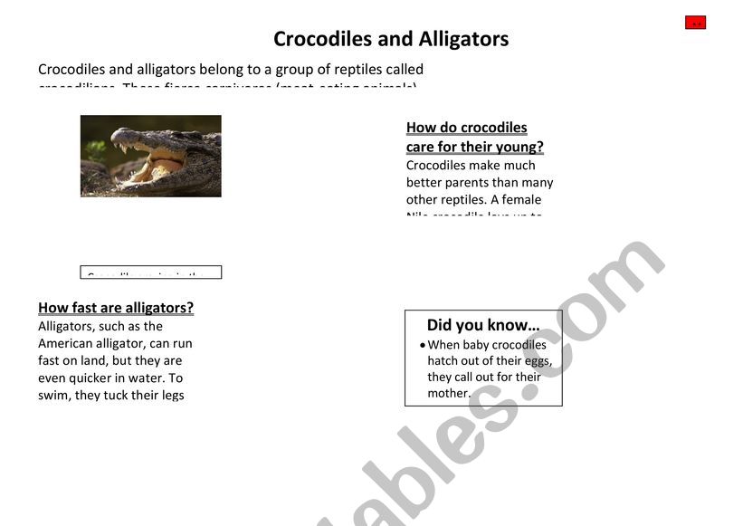 Vikings differentiated non chronological reports