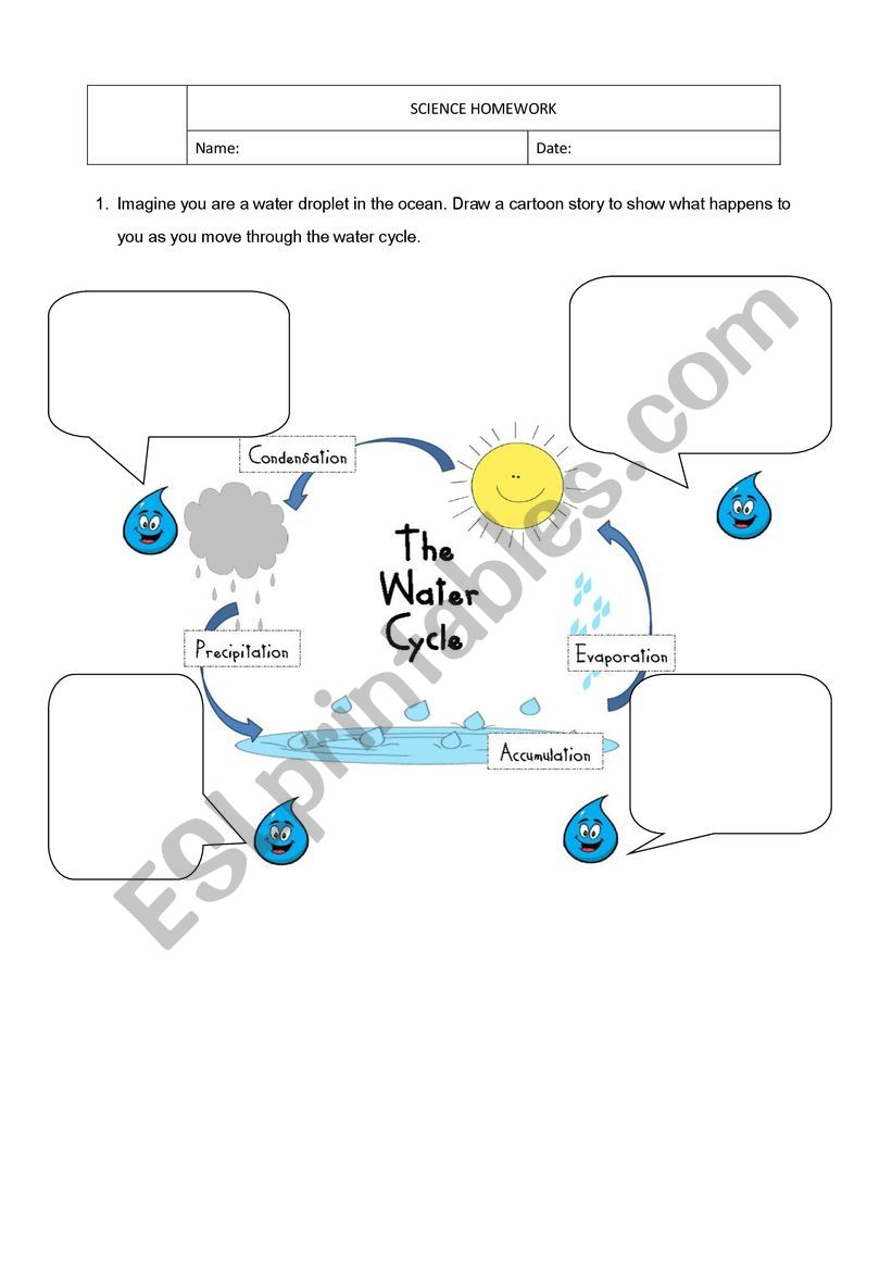 Water cycle worksheet