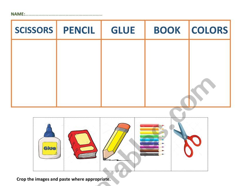 CLASS OBJECTS worksheet