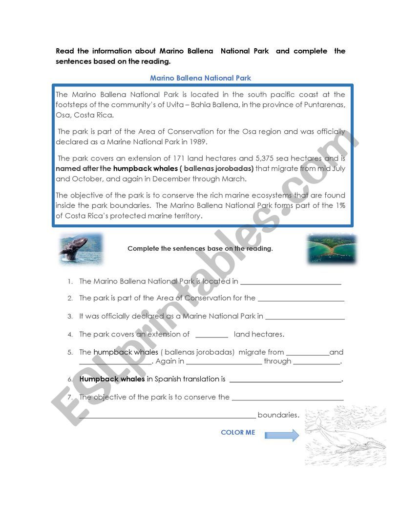 Marino Ballena National Park worksheet