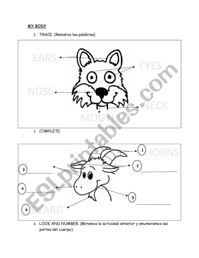 My body worksheet