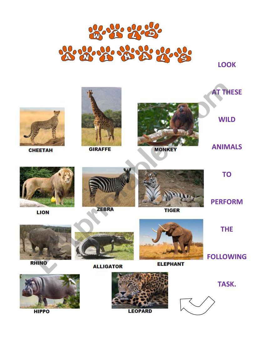 Wild Animals worksheet