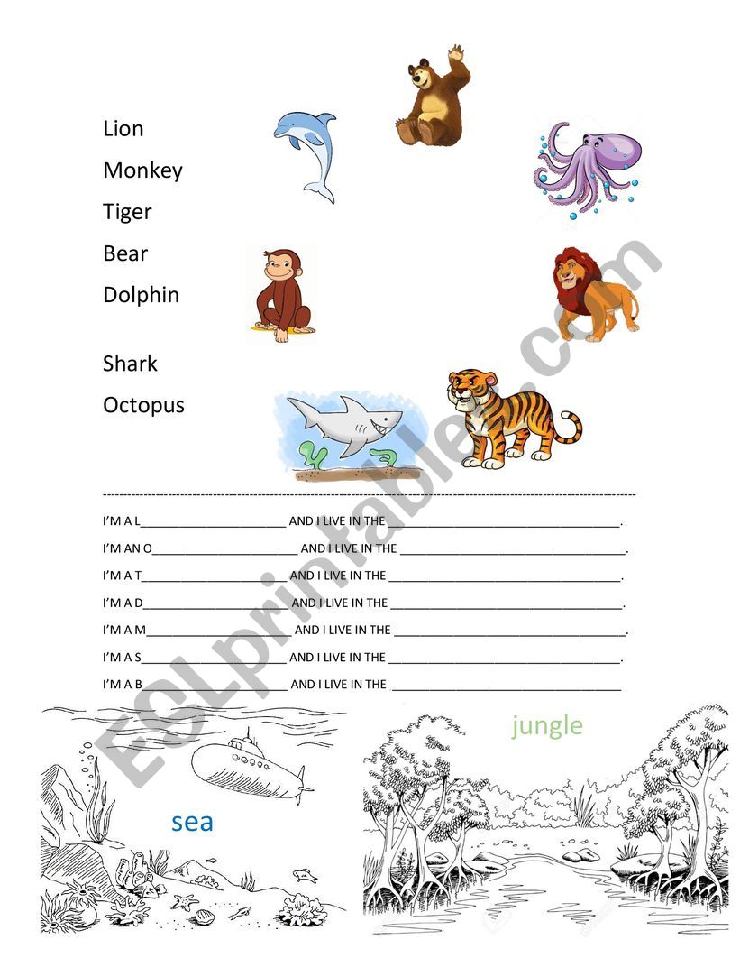 ANIMALS worksheet