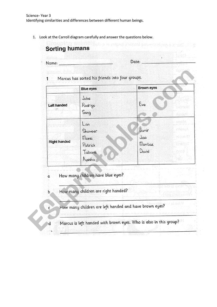Sorting Humans worksheet
