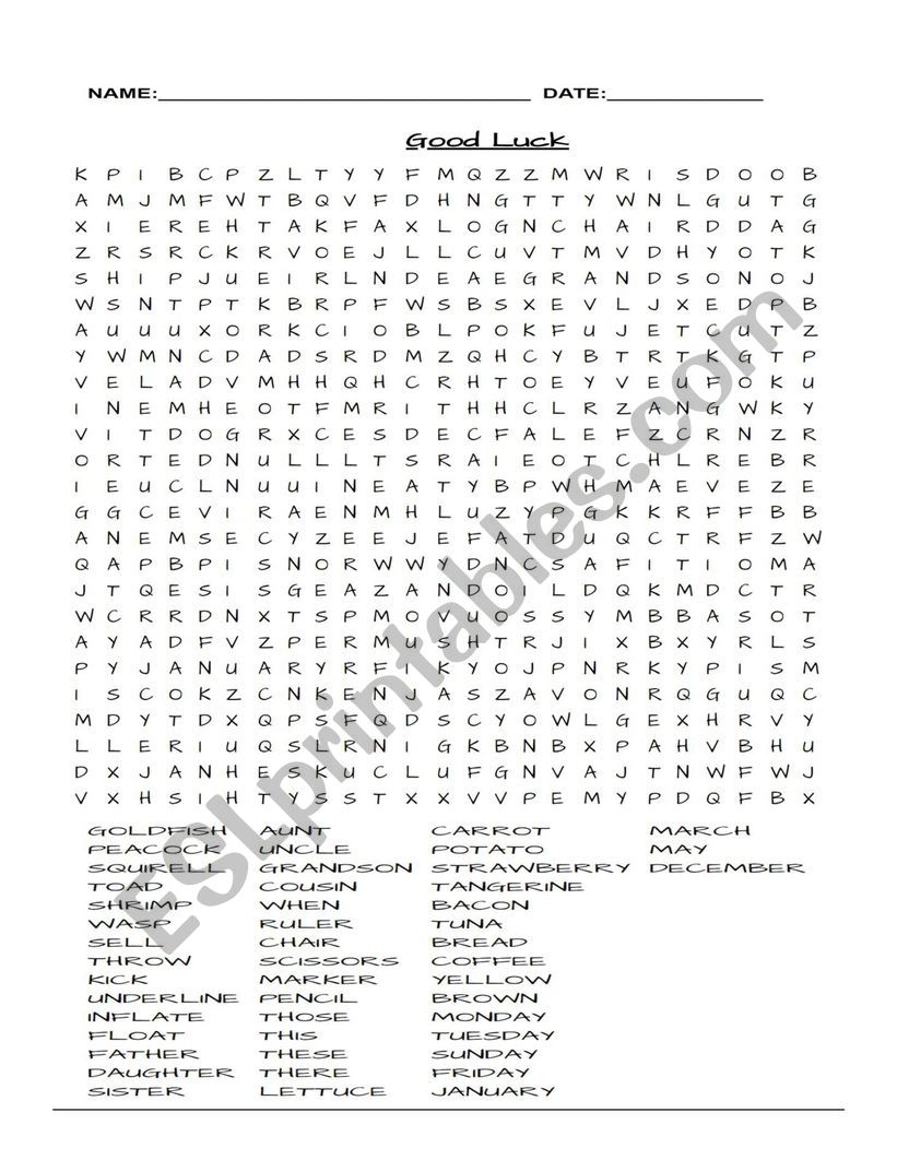 Word Search Vocabulary worksheet