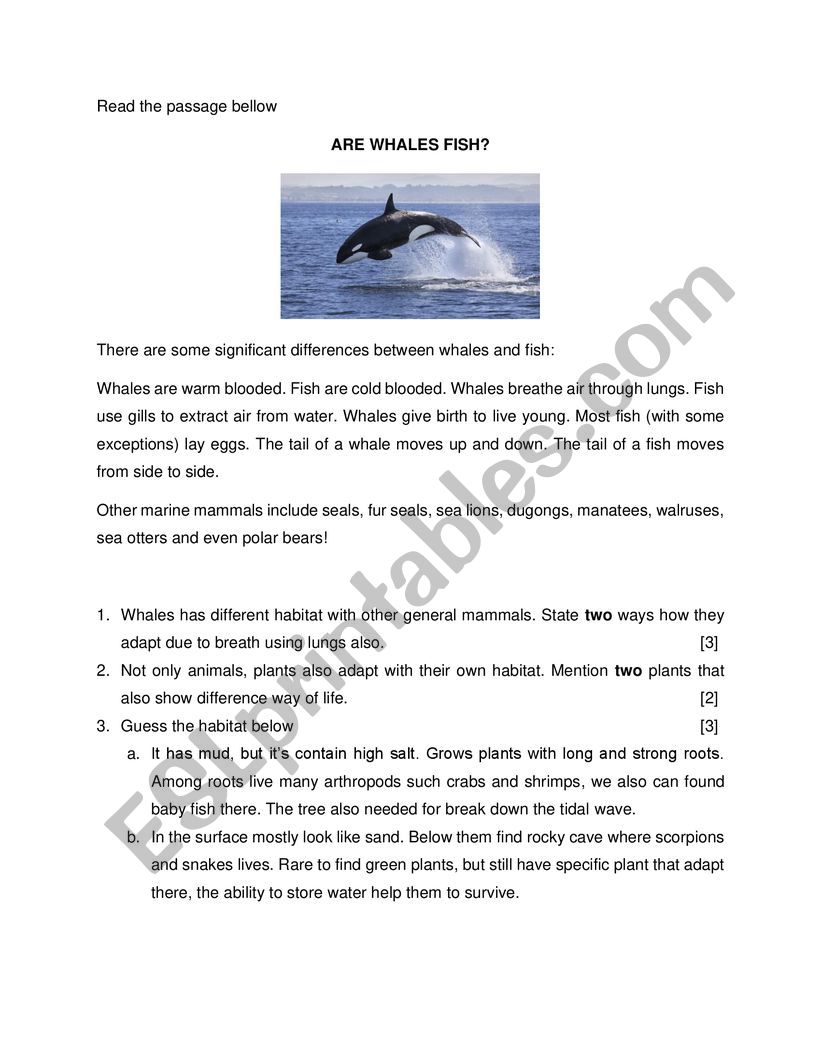 Quiz Science Grade 4 worksheet