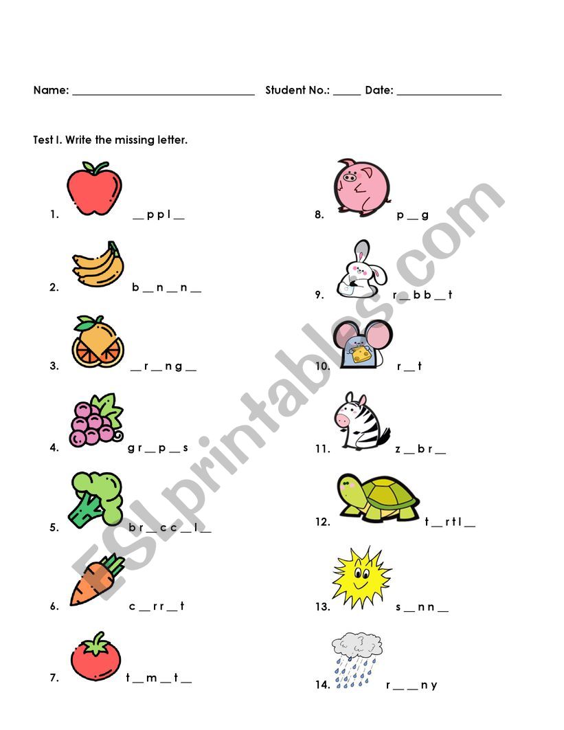 fruit, animal, weather, family member worksheet