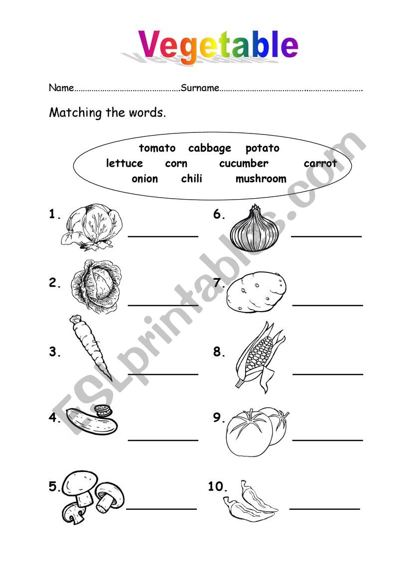 vegetable worksheet