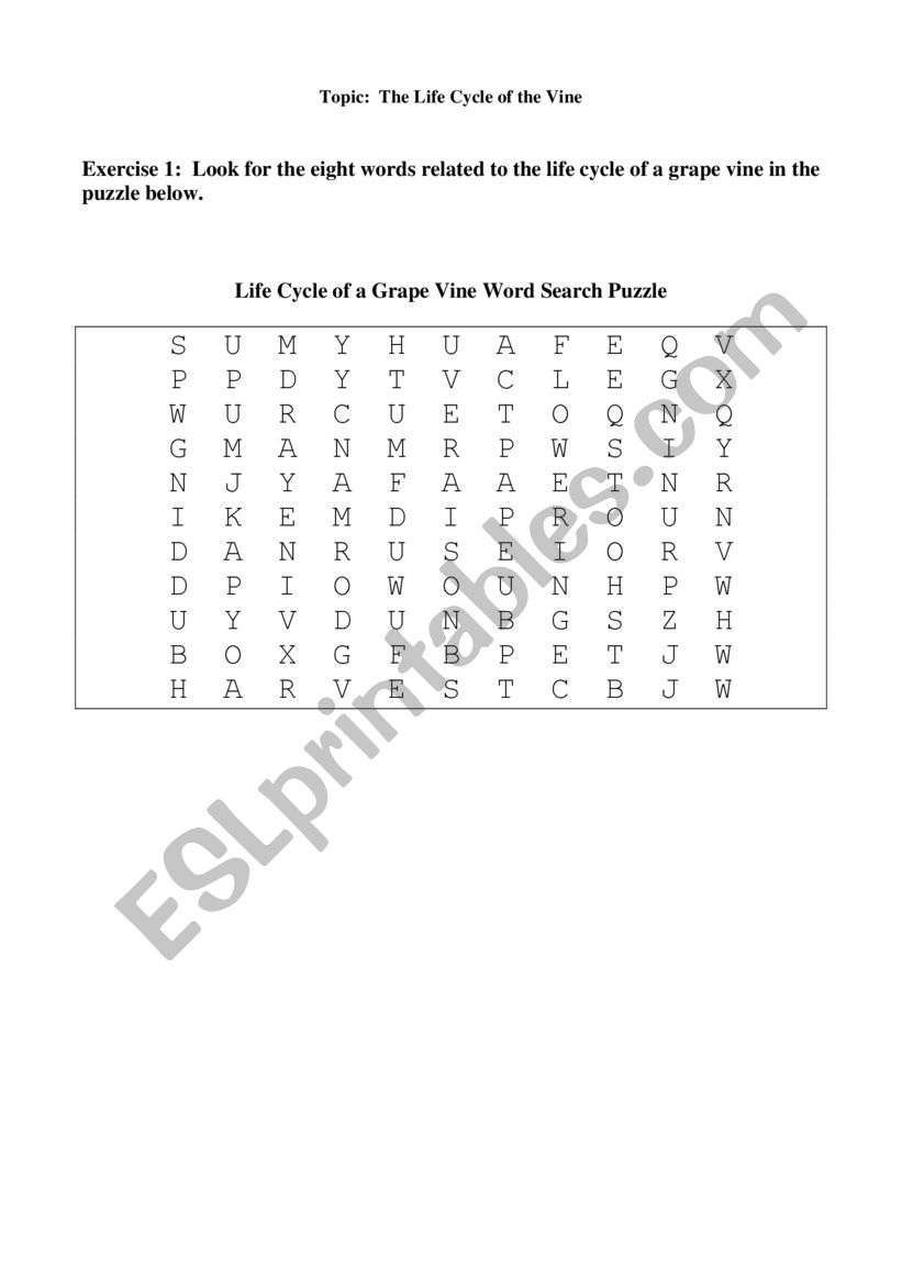 The vine cycle - vocabulary exercises