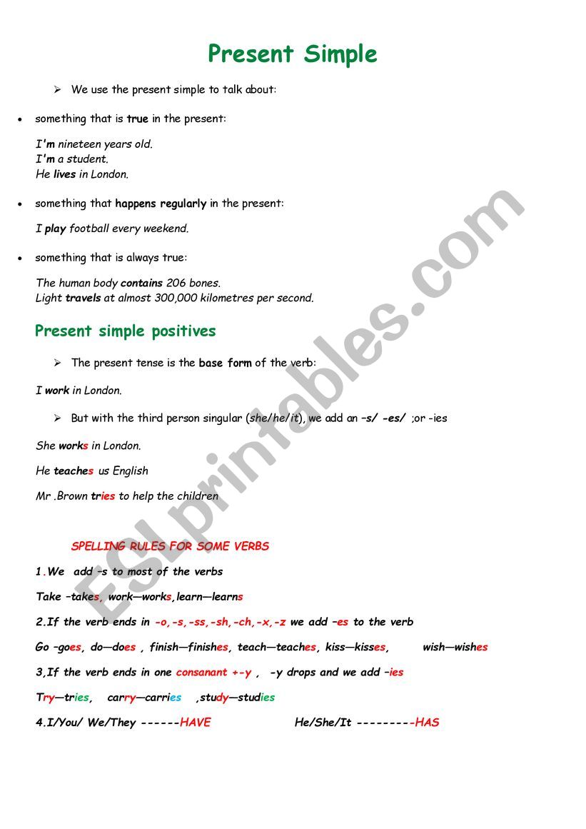 simple present tense  worksheet