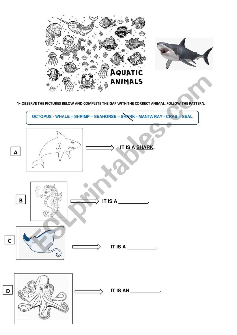 Aquatic Animals worksheet
