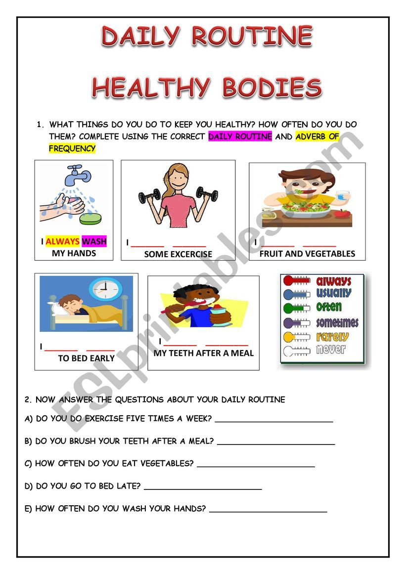 DAILY ROUTINE: HEALTHY BODIES worksheet