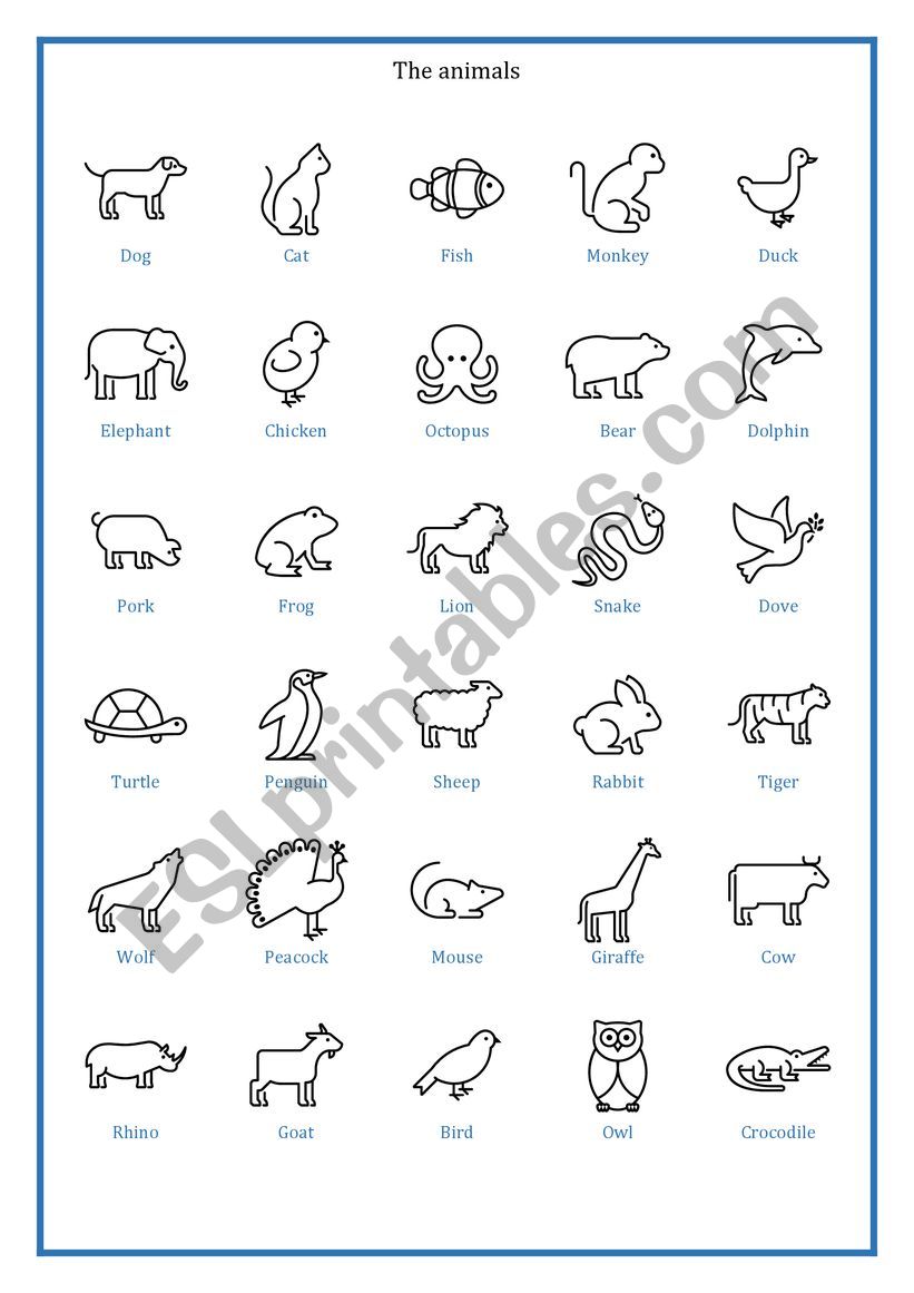 The animals worksheet
