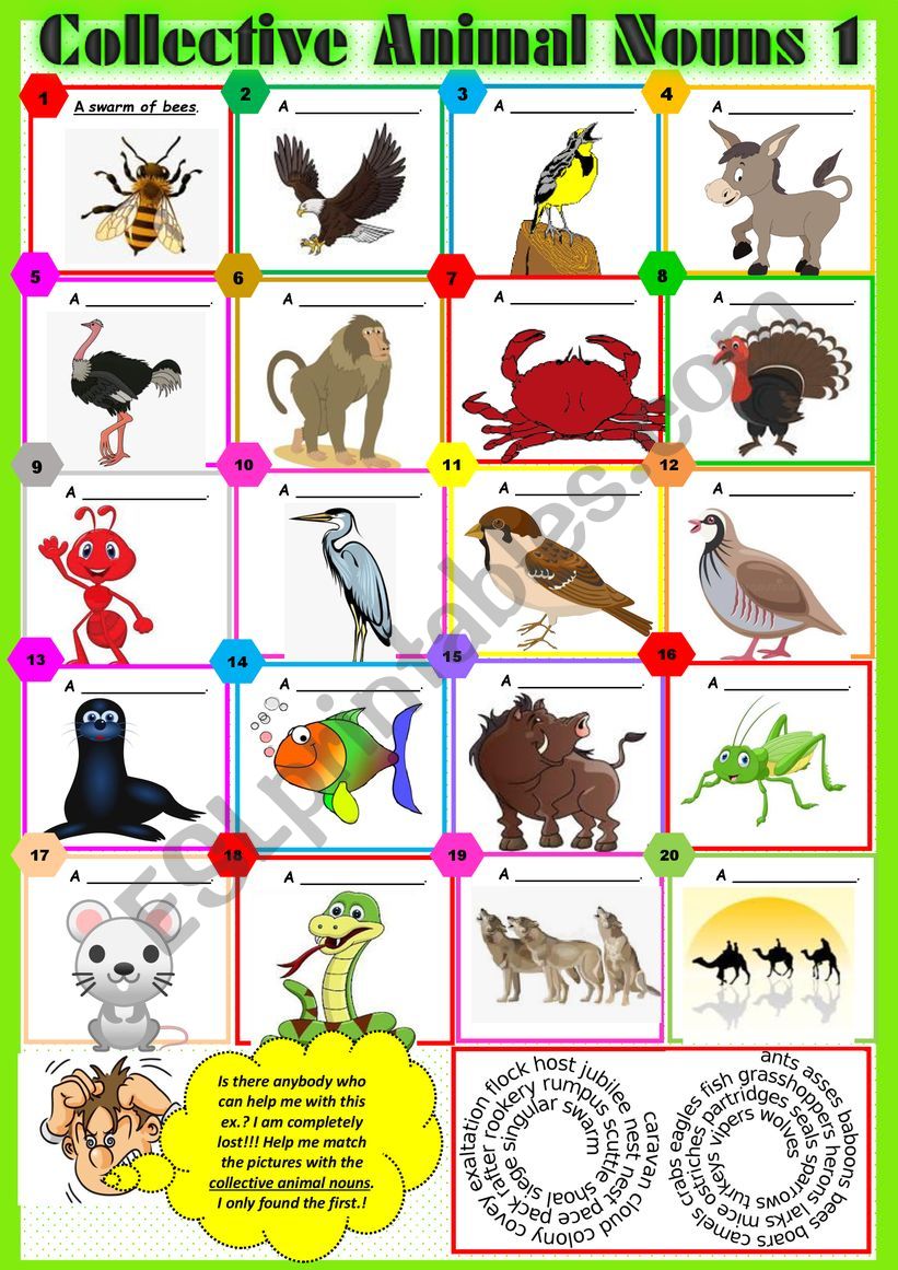 COLLECTIVE ANIMAL NOUNS 1 exercises + KEY