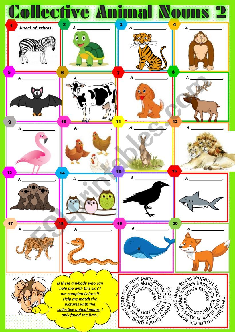 collective-animal-nouns-2-exercises-key-esl-worksheet-by-karagozian