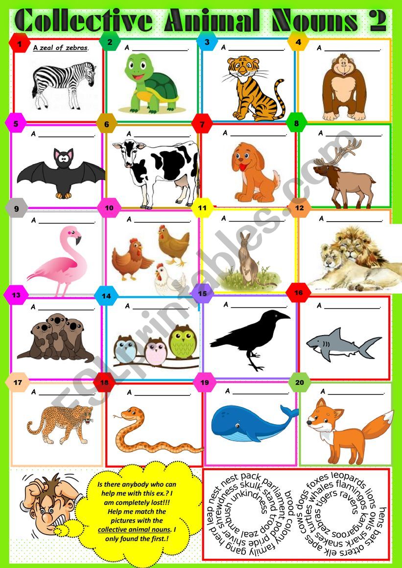 COLLECTIVE ANIMAL NOUNS 2 exercises + KEY