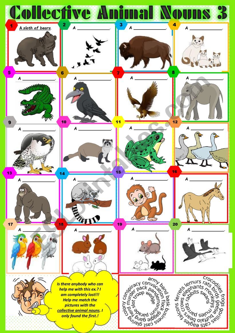 COLLECTIVE ANIMAL NOUNS 3 exercises + KEY