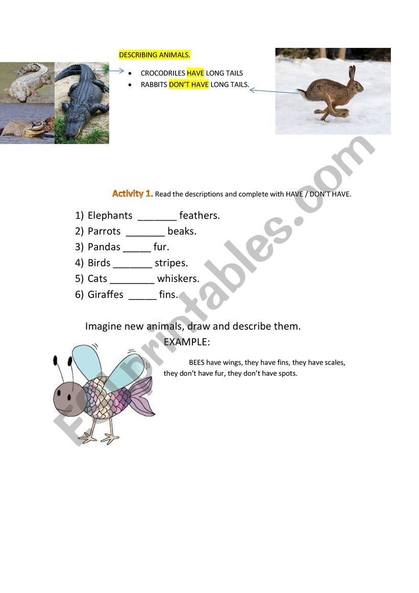 Describing animals worksheet