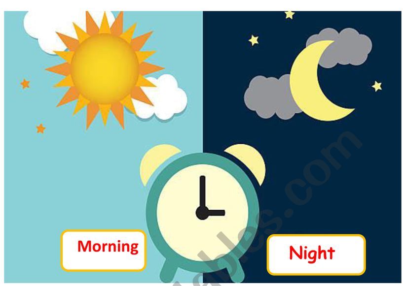 Daily routines worksheet