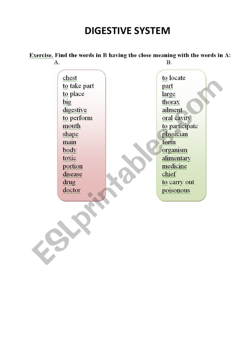 Digestive system worksheet