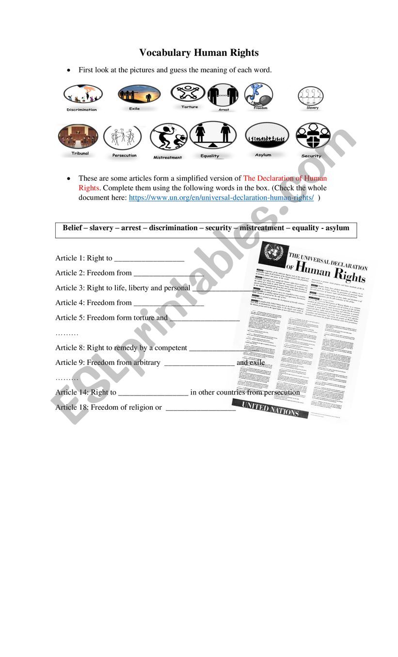 Declaration of Human Rights worksheet