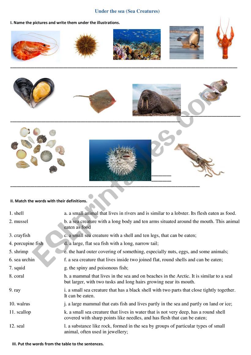 Under the sea (Sea Creatures) worksheet