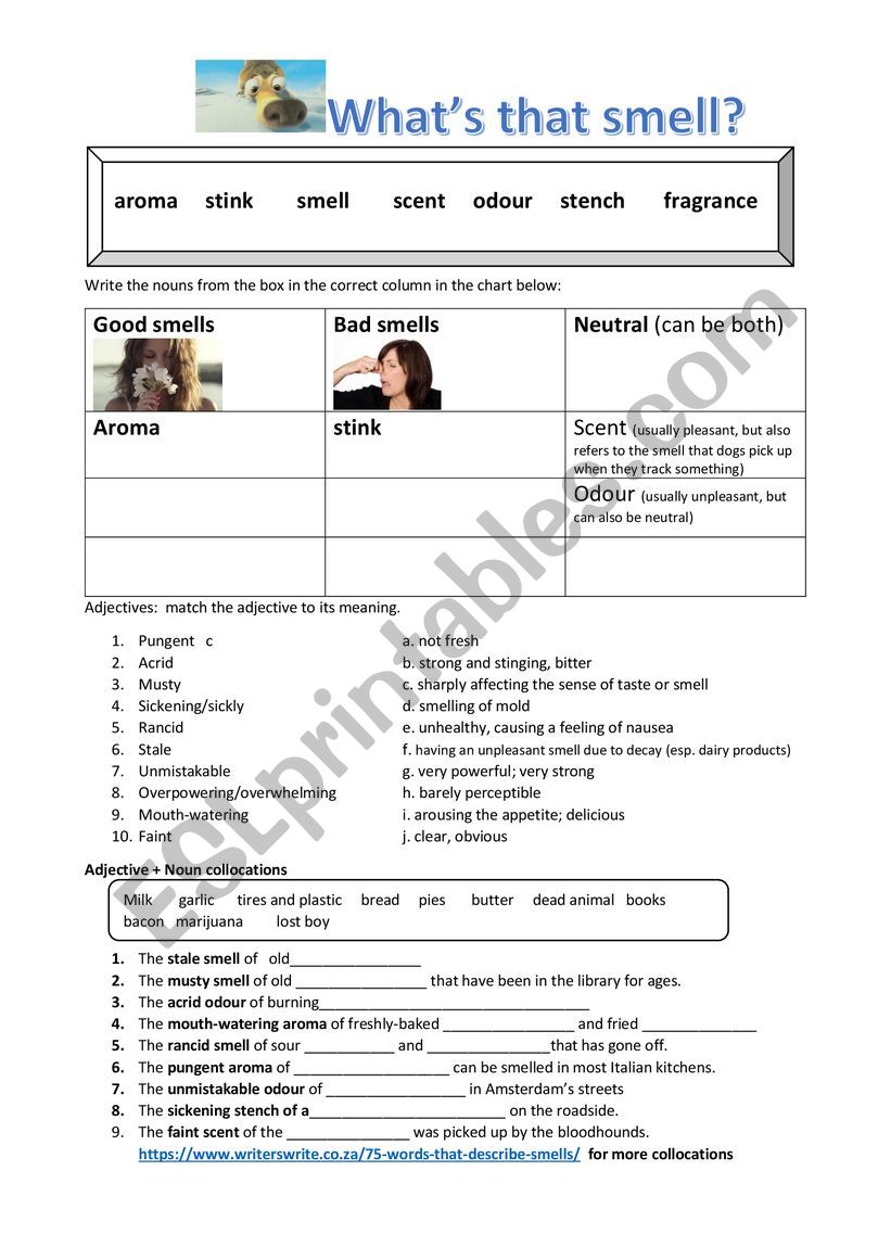 Whats that smell? worksheet