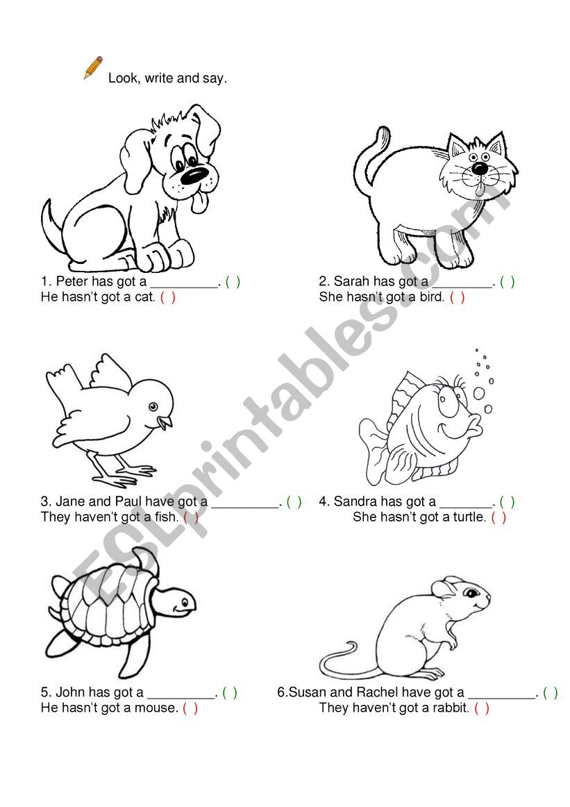 Animals /Pets worksheet