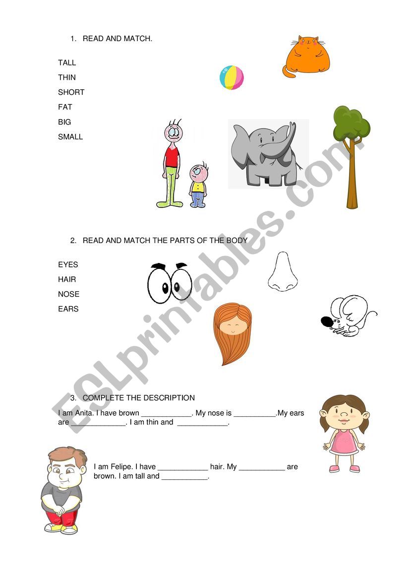 DESCRIPTION - BEGINNER LEVEL worksheet