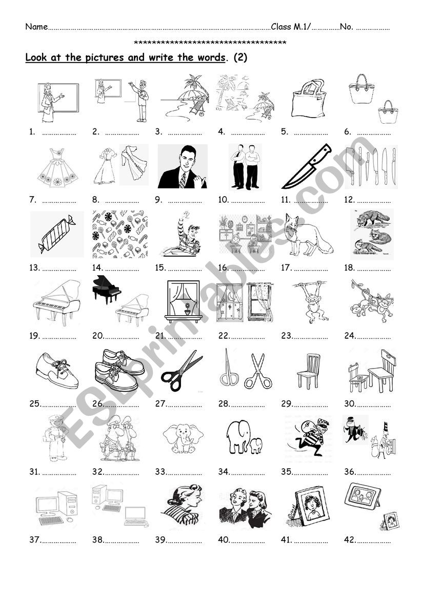 Singular and Plural 2 worksheet