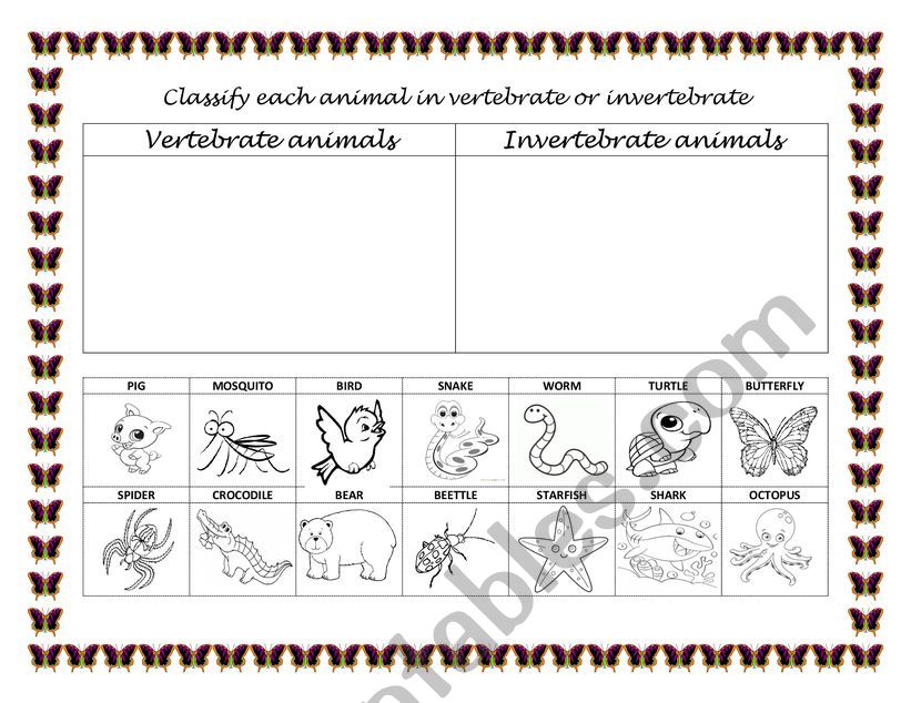 Vertebrate and invertabrate animals classification