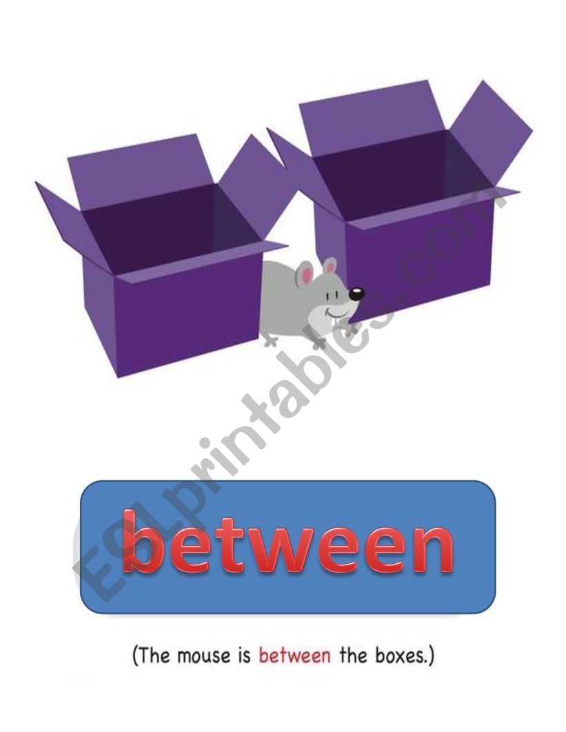 prepositions worksheet