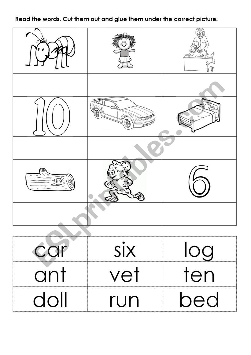 cvc words practice worksheet