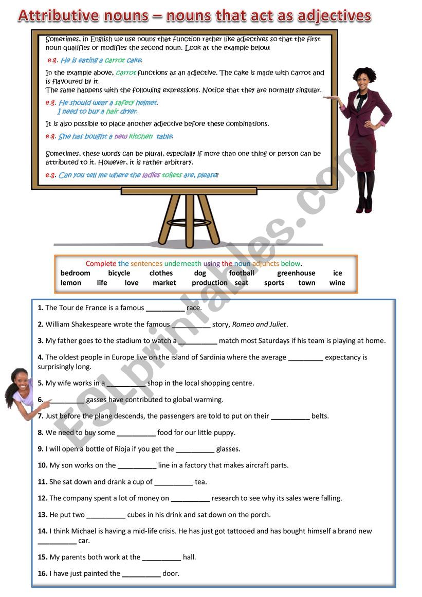Attributive Nouns worksheet