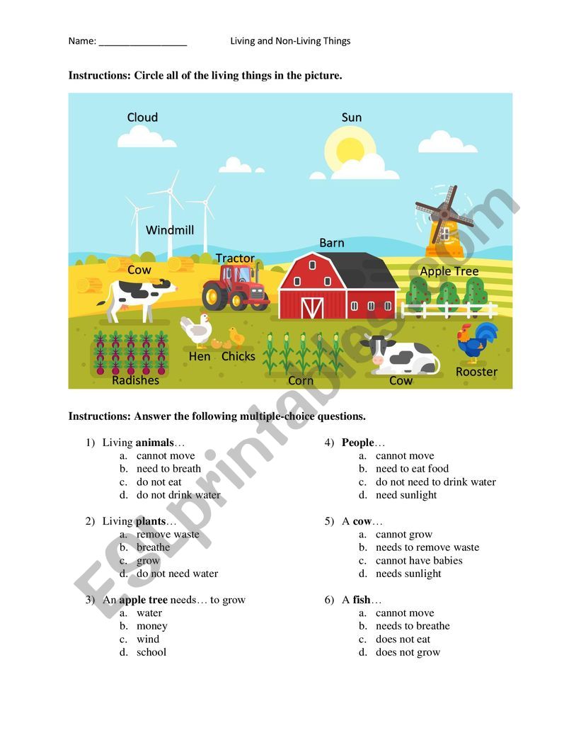 Living and Non-Living Things worksheet