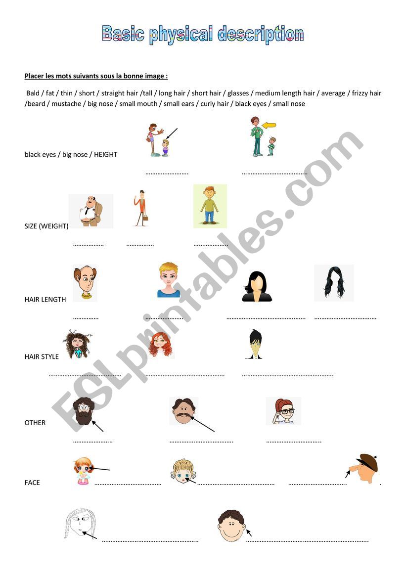 Basic Body words worksheet