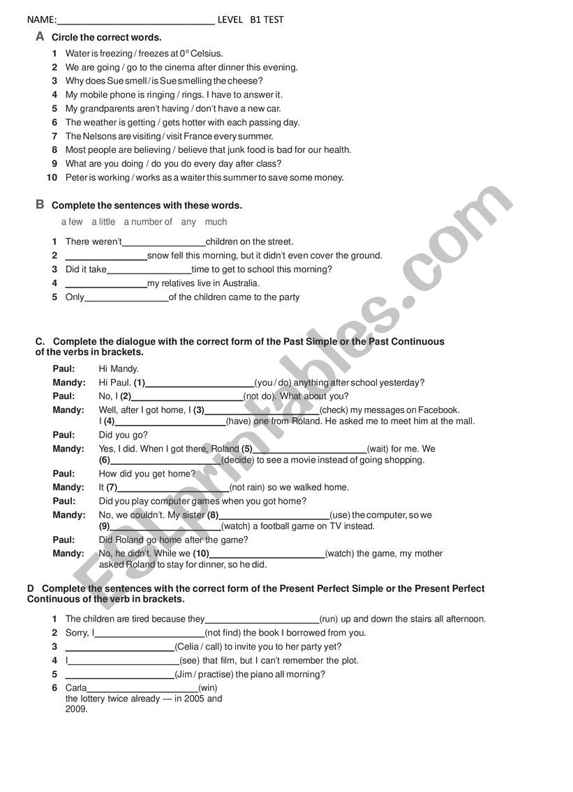 TEST B1 worksheet