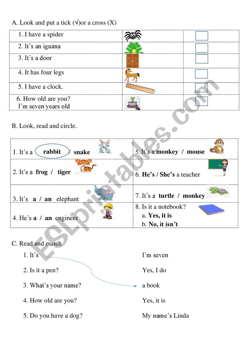 exercise 3 worksheet