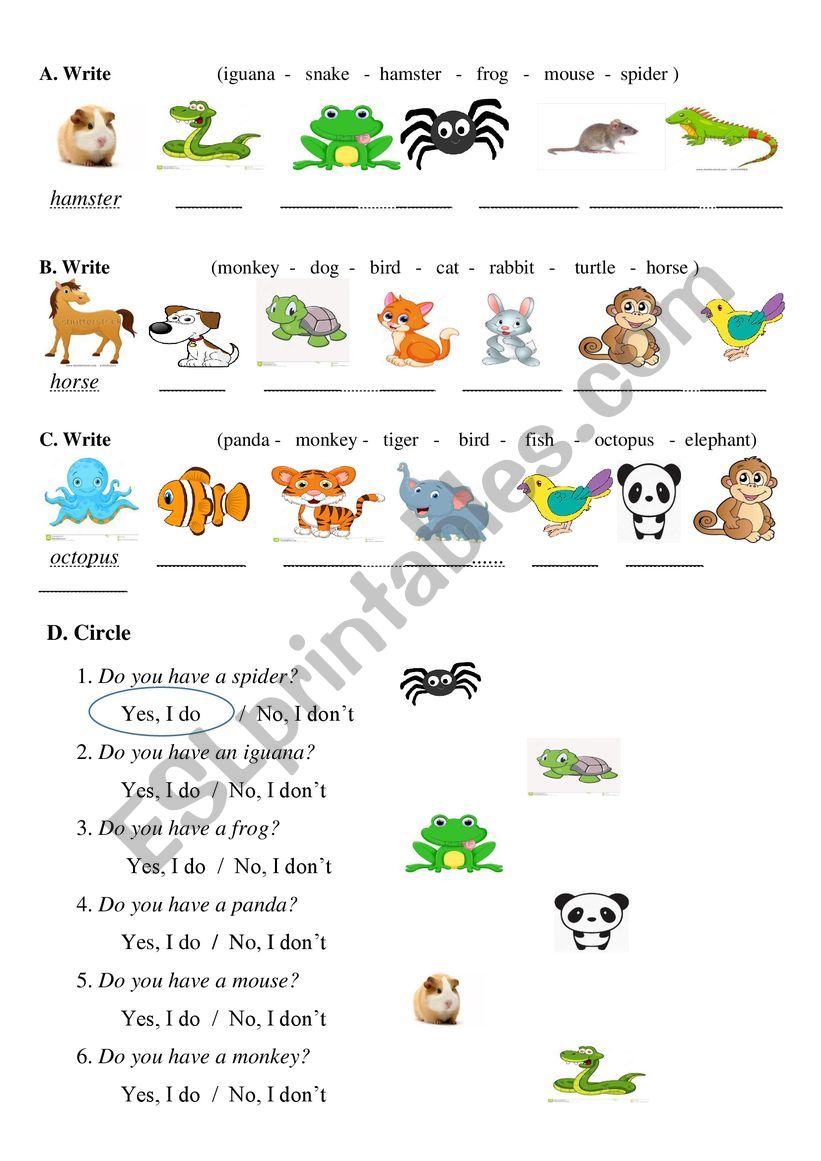 exercise 4 worksheet