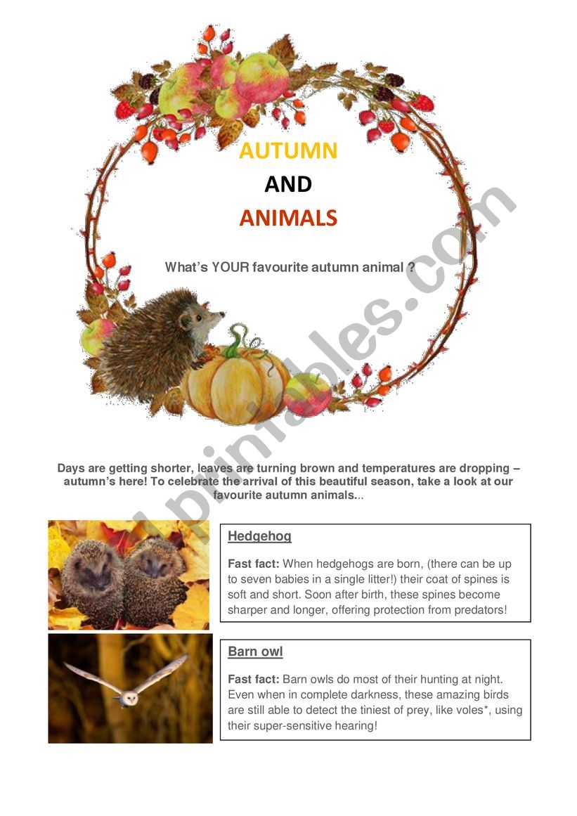 Autumn animals and grammar test.