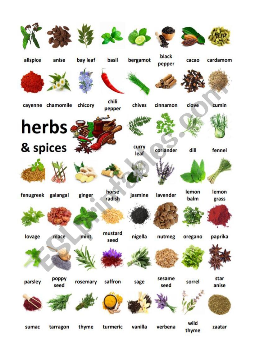 Herbs & Spices Vocabulary worksheet