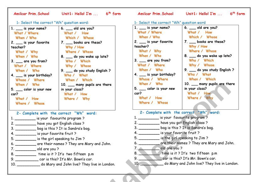 Wh questions waoksheet worksheet