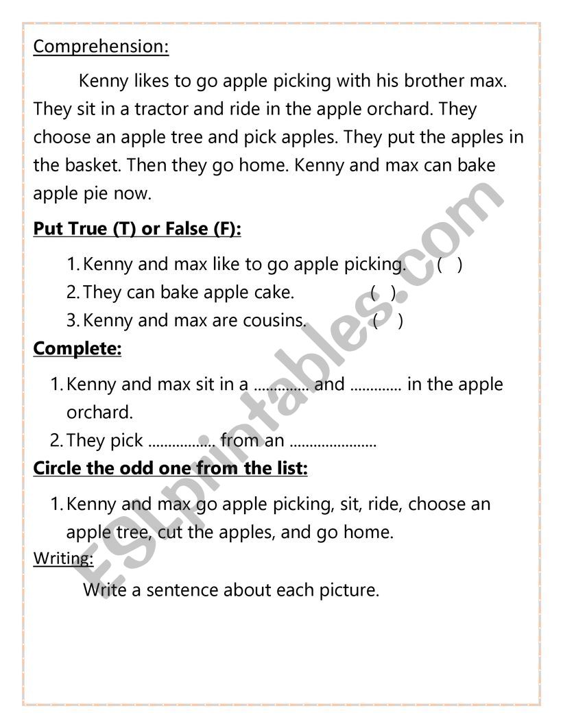 comprehension passages  worksheet