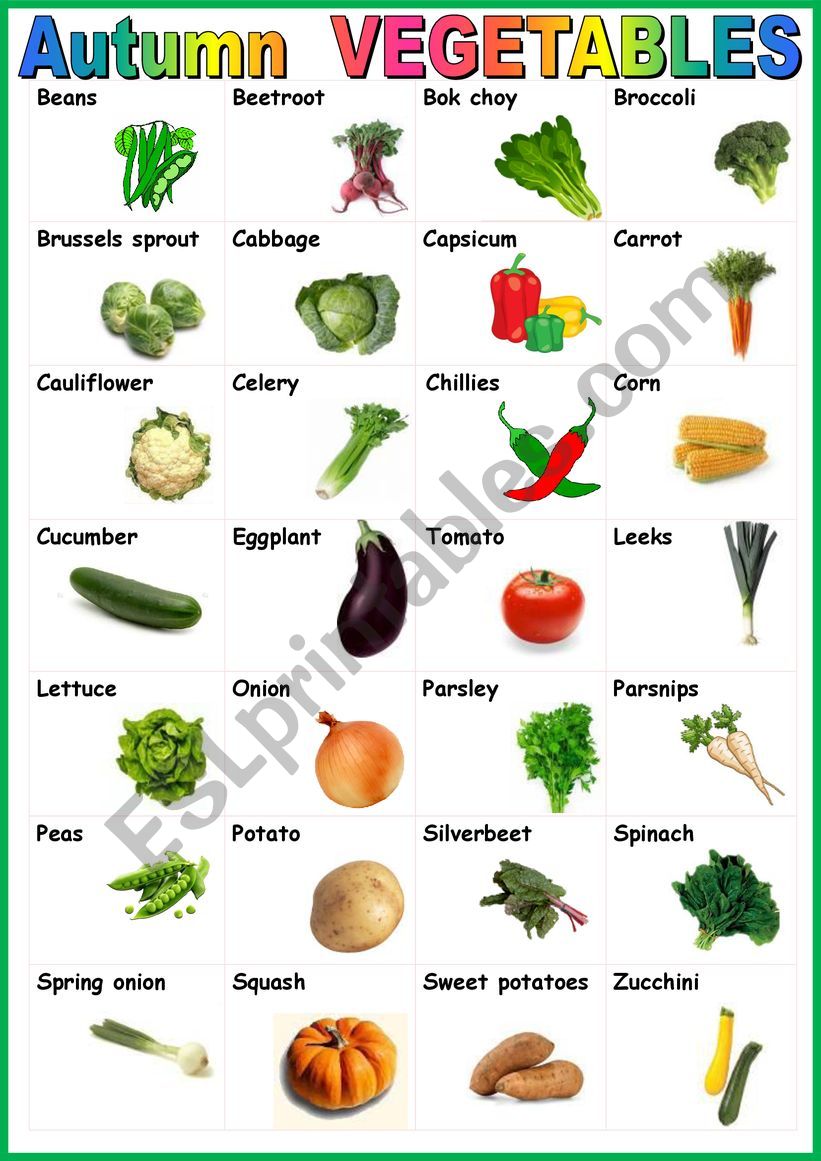 Autumn vegetables. Poster worksheet