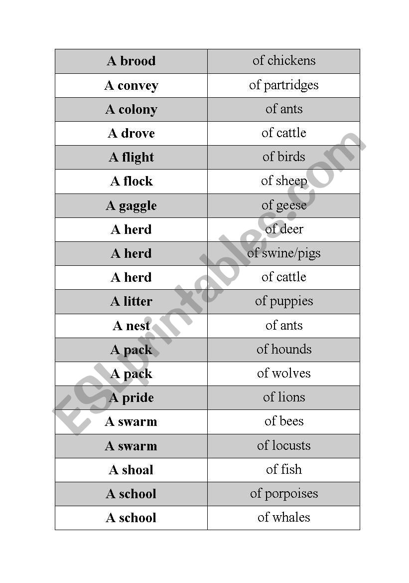 collective nouns worksheet