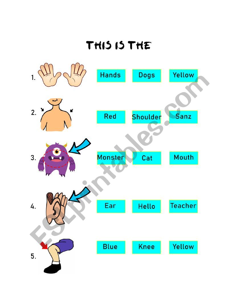 Body�s Part Circle worksheet