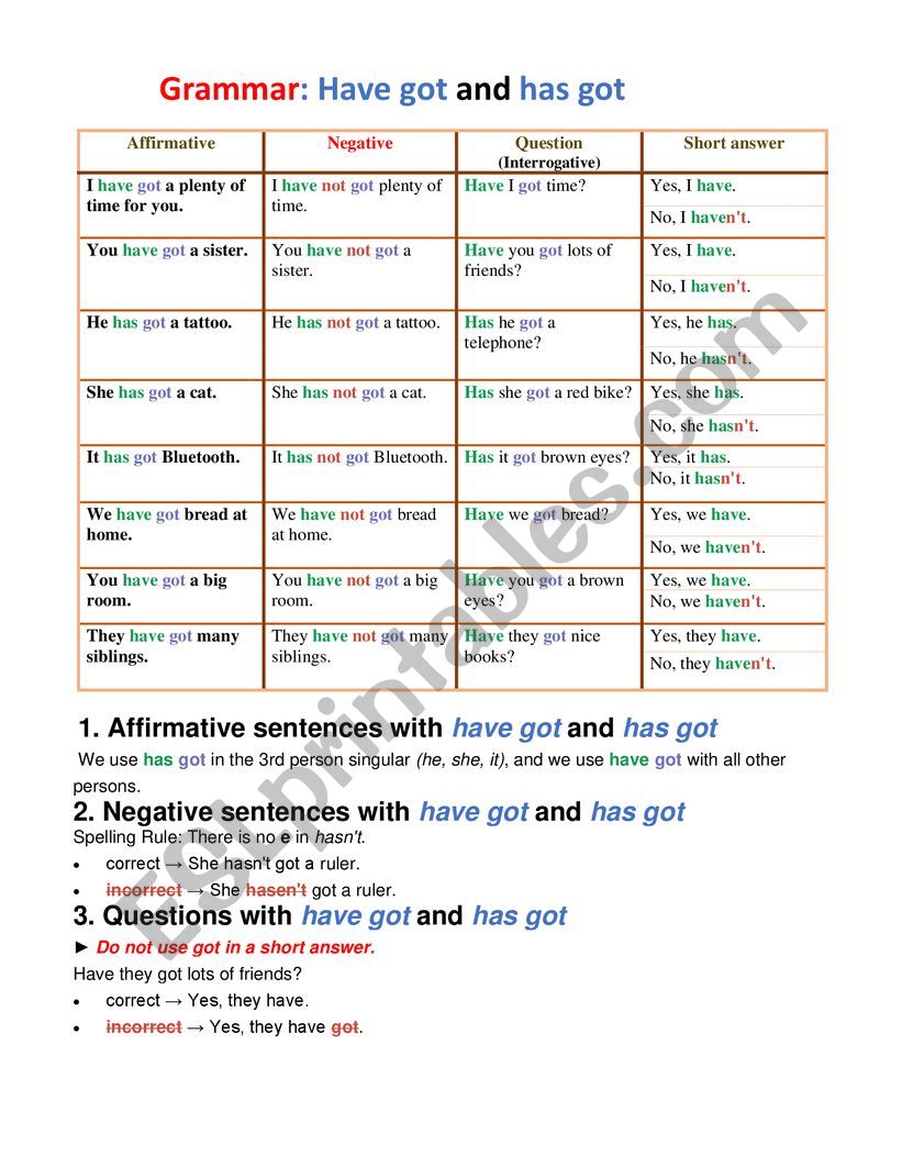 have got and has got worksheet