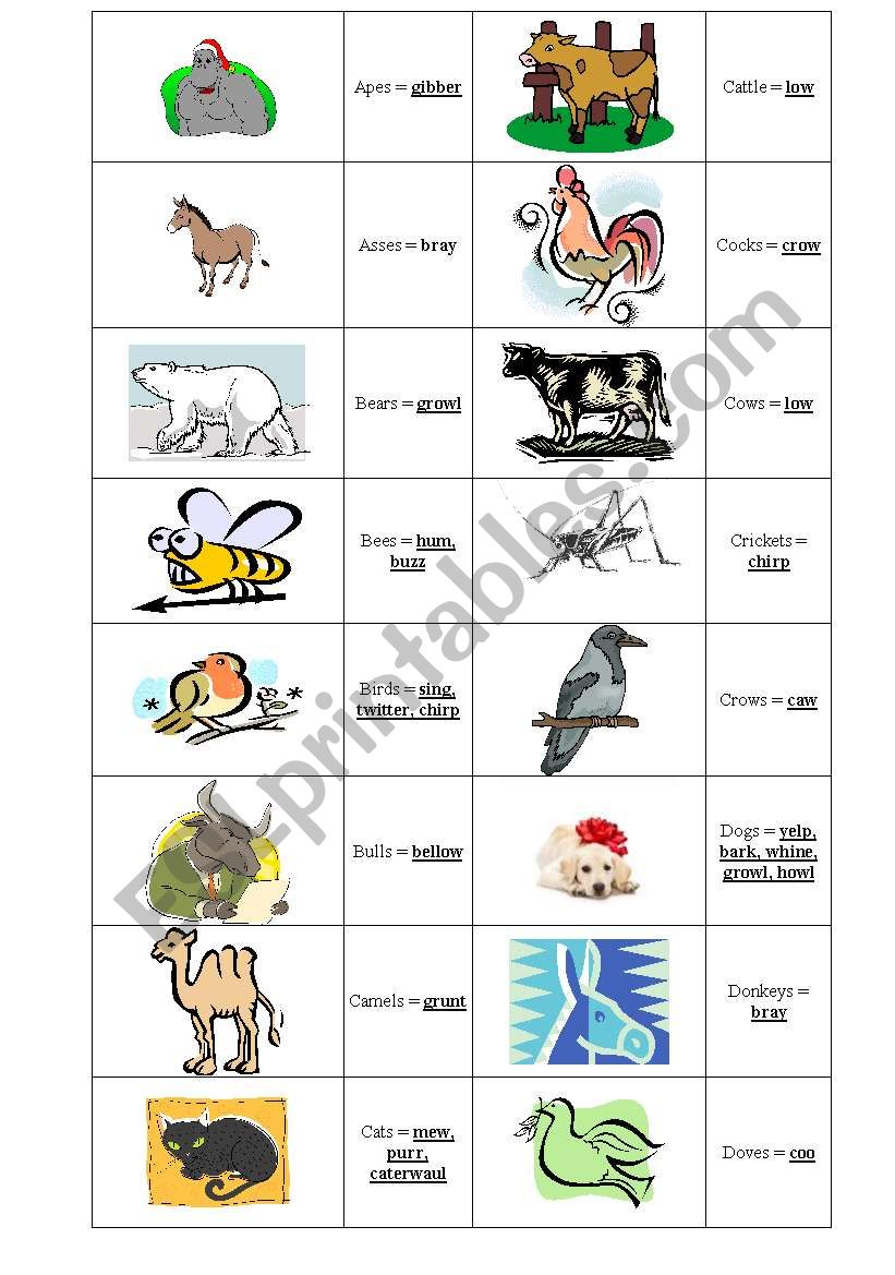 animal cries 3 worksheet