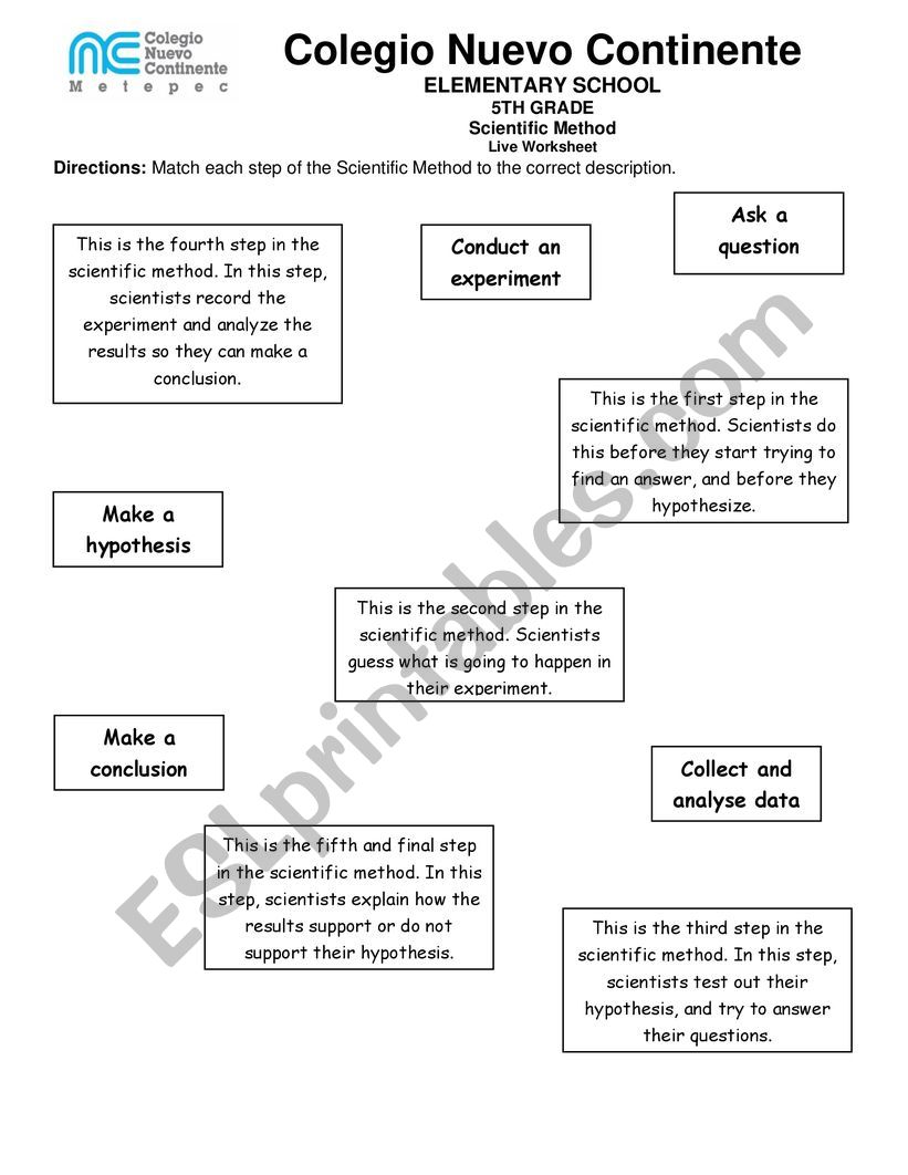 The Scientific Method - ESL worksheet by aleamor11 Within Scientific Method Worksheet 5th Grade