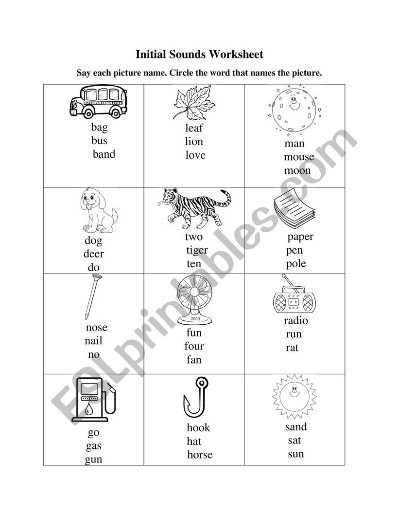 Initial Sounds Worksheet  worksheet